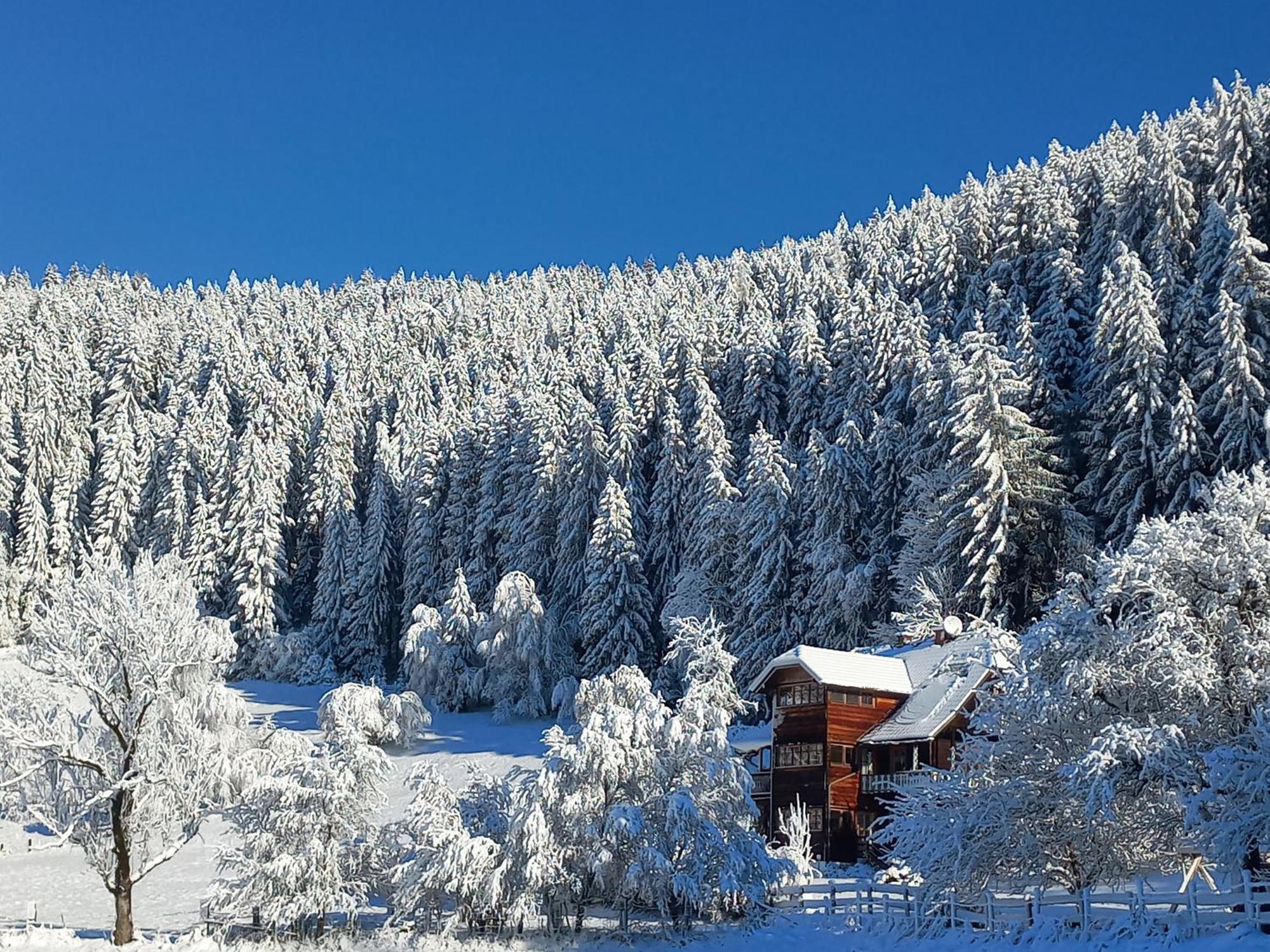 Апартаменты Steurer Hof Liebenfels Экстерьер фото