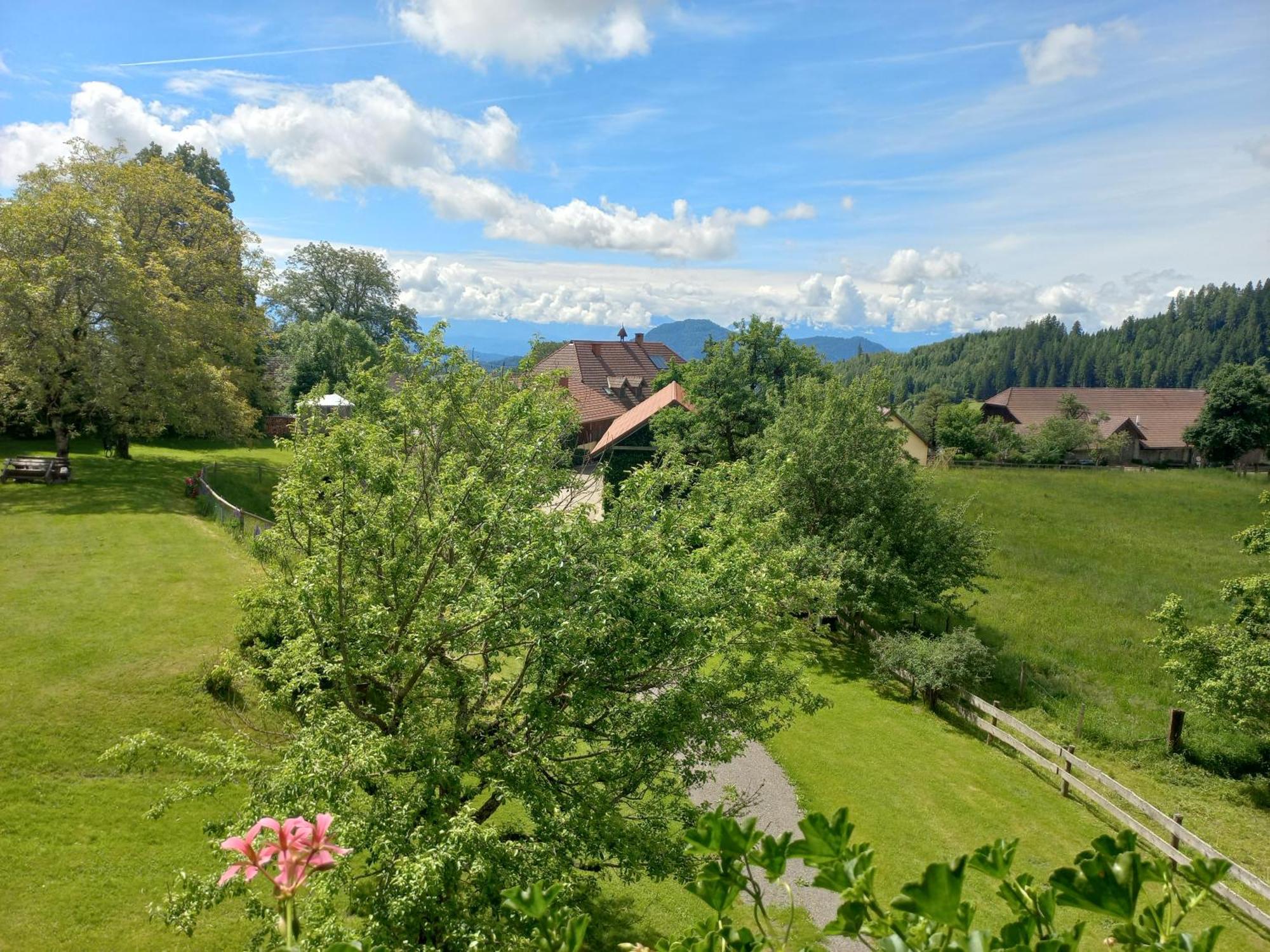 Апартаменты Steurer Hof Liebenfels Экстерьер фото