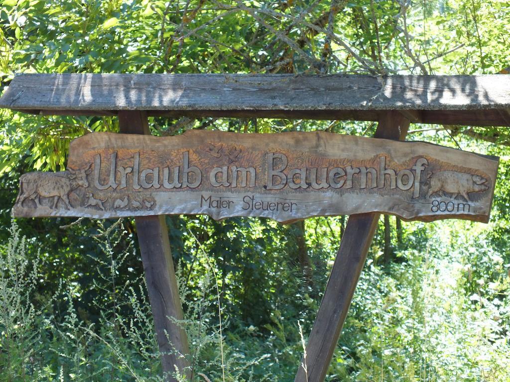 Апартаменты Steurer Hof Liebenfels Экстерьер фото